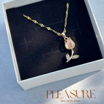 Set Tulipanes Pleasure🌷